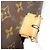 LOUIS VUITTON Bolsa de mão Monogram Beverly M51121 LV Auth 122233 Monograma - vista 12