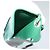GOYARD Herringbone Pass Case in pelle PVC verde Auth 123464 - vista 18