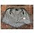 Top Love Moschino de algodón gris - vista 6