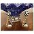 Bellissimi orecchini DOLCE & GABBANA modello DJ0833 “ball stripes" Multicolore - vista 9