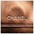 Borsa a tracolla in pelle di agnello metallica marrone Chanel Bronzo - vista 8