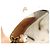 Louis Vuitton VUITTON DESMAYO CAT EYE MONOGRAMM Z0051U SONNENBRILLE Golden - Ansicht 10