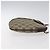 Bolsa de ombro GUCCI GG Supreme Web Sherry Line PVC Bege 904 02 047 Auth ep9173 Dourado - vista 3
