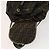 FENDI Zucca Canvas Rucksack Schwarz Braun Gold Auth 123804 Golden - Ansicht 19