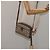 Borsa a spalla GUCCI GG Supreme Web Sherry Line PVC Beige 116 02 089 Auth 118603 D'oro - vista 22