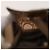 Salvatore Ferragamo Borsa a mano in vinile 2 pezzi marrone Auth mr1382 - vista 12