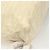 BOTTEGA VENETA Tote Bag Nylon White Auth hk2820 - view 12