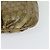 GUCCI GG Borsa a Spalla in Cristallo Oro 203257 Auth hk2846 D'oro - vista 11