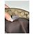 Vintage Gucci Monogramm Tasche beige - Ansicht 5