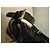 Borsa a mano Mac Douglas in pelle vernice nera Metallico - vista 6