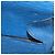 LOUIS VUITTON Epi Saint Cloud GM Borsa a Spalla Blu Toledo M52195 LV Auth 127467 - vista 20