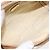 Borsa a spalla GUCCI GG Plus Supreme PVC avorio oro Auth 125814 D'oro Crudo - vista 11