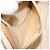 Borsa a spalla GUCCI GG Plus Supreme PVC avorio oro Auth 125814 D'oro Crudo - vista 12