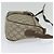 GUCCI GG Supreme Web Sherry Line Borsa PVC Beige Oro 89 02 032 Auth ep9229 D'oro - vista 4