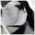 FENDI Zucchino Canvas Handtasche aus Nylon Beige Silber Authentisch bs26890 - Ansicht 20