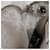 PRADA Bolso de Hombro Nylon Blanco Plata Auth 127895V - vista 21