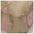 Coach Tote Bag Nylon Pink Silver Auth bs27221 - view 12