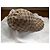 Gucci GG Canvas Baseball Cap Beige - Ansicht 4