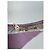 Balenciaga Suncape Vintage Violet - vue 13