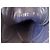 Sneakers basse Gucci blu in suede e tela GG - vista 8