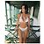 Bikini de dos piezas Chanel 2024 Coco Beach en plata con logo CC, talla FR 38 Hardware de plata - vista 4
