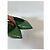 Bailarinas Max Mara Verde - vista 12
