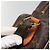 LOUIS VUITTON Borsa a Spalla Monogram Nile M45244 LV Auth ep9778 Monogramma - vista 9
