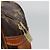 LOUIS VUITTON Clutch Compiegne 28 M51845 LV Auth 132072 Monogramma - vista 12