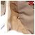 Céline Borsa a Spalla in Tela Macadam CELINE Beige Oro Auth 132148 D'oro - vista 11