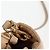 PRADA Borsa a Mano Nylon 2way Beige Oro Auth 118908SM D'oro - vista 9