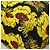 PRADA Borsa a Mano Nylon 2 vie Giallo Argento Auth 128406 - vista 14