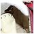 Roter Leder-Rucksack VALENTINO Auth bs23660V - Ansicht 24