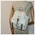 PRADA Backpack Nylon White Silver Auth 85291V Silvery - view 24