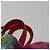 Gucci Mochila GG Supreme Sherry Line de PVC beige arcoíris 550775 Auth 112335V - vista 8