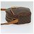 Céline Borsa a Spalla in Tela Macadam CELINE in Pelle PVC Marrone Oro Auth gh248 D'oro - vista 3