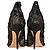 Christian Dior Dior Lace Embellished Pumps in Black Polyester - view 5