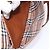 Autre Marque Borsa a Spalla Burberrys in Pelle Marrone Oro Auth BA4256 D'oro - vista 21