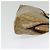 Céline CELINE Macadam Canvas Schultertasche PVC Beige Gold Auth sw1359 Golden - Ansicht 4