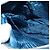 Borsa a Spalla PRADA in Nylon Blu Argento Autentica 132289 - vista 19
