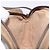 Gucci Borsa Sherry Line GG Supreme Web in PVC beige e oro 116 02 089 Auth BA4187 D'oro - vista 20