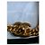 Collana Choker Chanel Modello Torciglione Dorata D'oro - vista 5