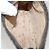 LOUIS VUITTON Neceser Posh Monogram 15 M47546 LV Auth 132845 Monograma - vista 10
