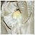 Borsa a Spalla PRADA in Nylon Pelle Marrone Argento Autentica 132575 - vista 11
