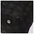 CHANEL Nuova Borsa Tote da Viaggio Nylon Marrone Scuro Nero CC Auth BA4258 - vista 10