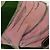 Borsa Miu Miu in Velluto 2 in 1 Rosa Argento Auth 131588 - vista 10