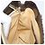 Céline Borsa a mano in tela Macadam C di CELINE marrone oro Auth ep9908 D'oro - vista 18