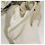 SAINT LAURENT Borsa a Spalla Teddy Small in Pelle Bianca Argento Auth BA4161 Bianco - vista 15