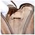 Borsa Gucci GG Supreme Web Sherry Line in PVC Beige Oro 007 58 6112 Auth ep9956 D'oro - vista 20