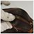LOUIS VUITTON Borsa a Spalla Monogram Marly Bandouliere M51828 LV Auth 135648 Monogramma - vista 7