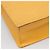 LOUIS VUITTON Borsa Sac Plat Epi Gialla M52079 LV Auth 135876 Giallo - vista 15